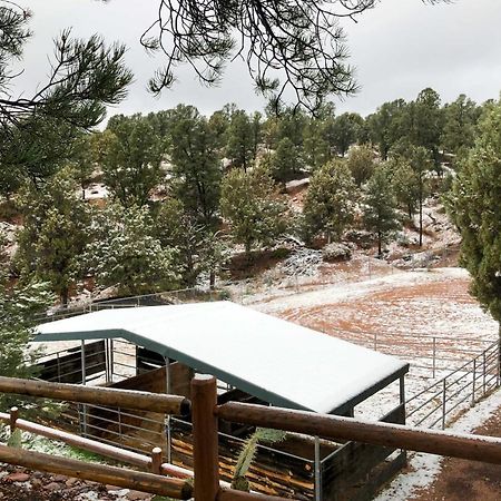 Multi-Family Rocking Horse Ranch With Sauna! Payson Buitenkant foto